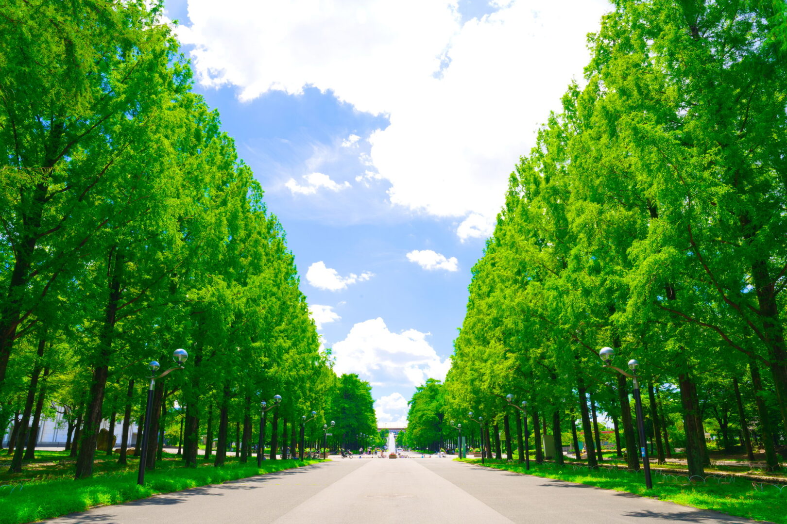 Environment