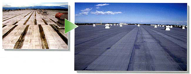 屋上防水のリニューアルの実績写真